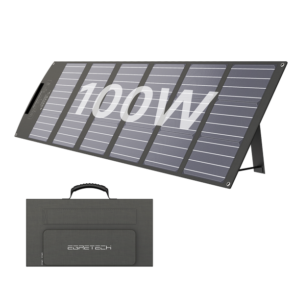 Sonic 100W